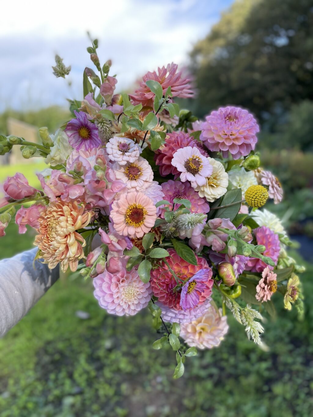 A bouquet of british grown dahlias freshly cut from the cutting patch at Green Rabbit Flowers.