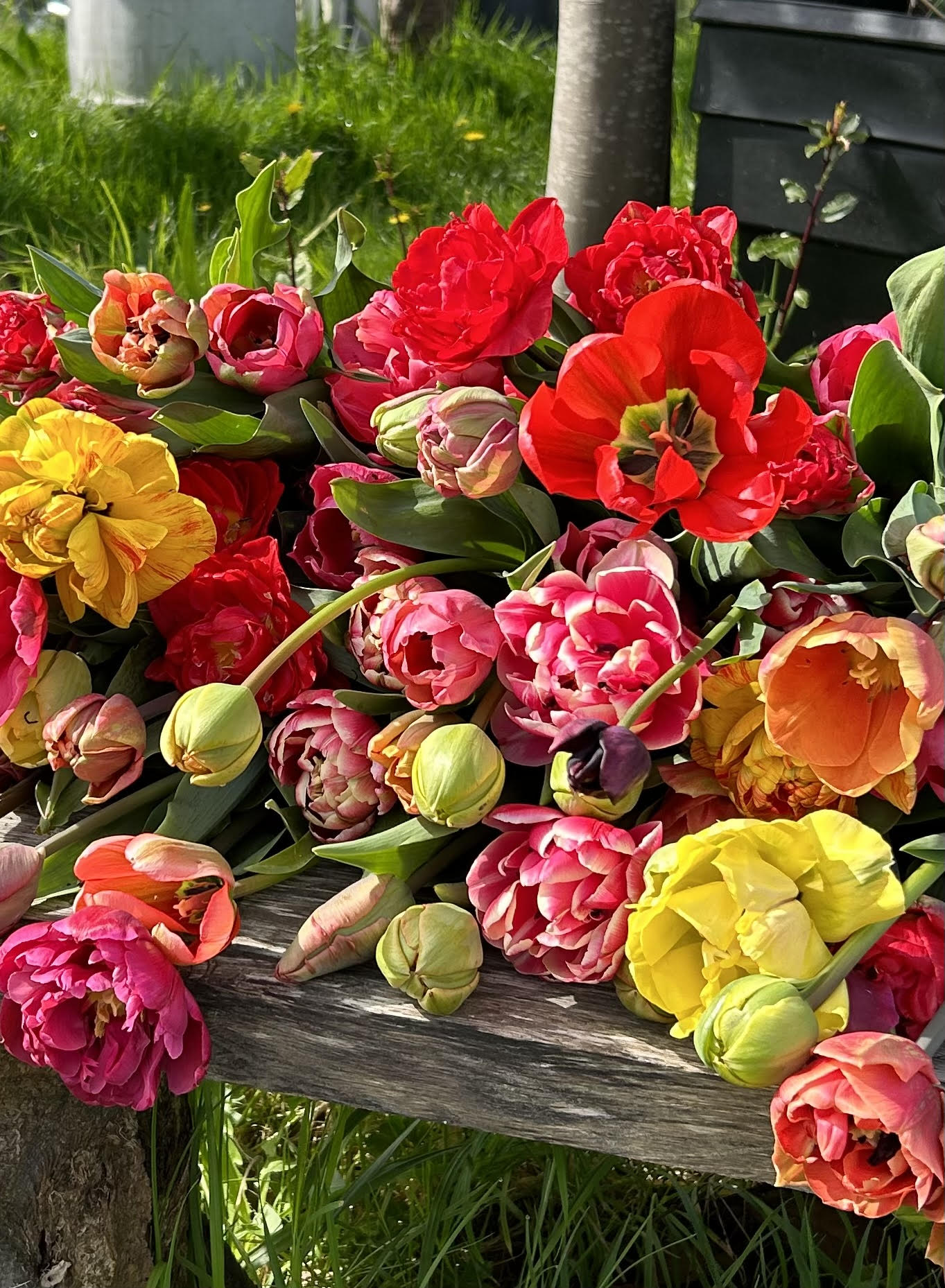 Flower Crop by Betty Blooming