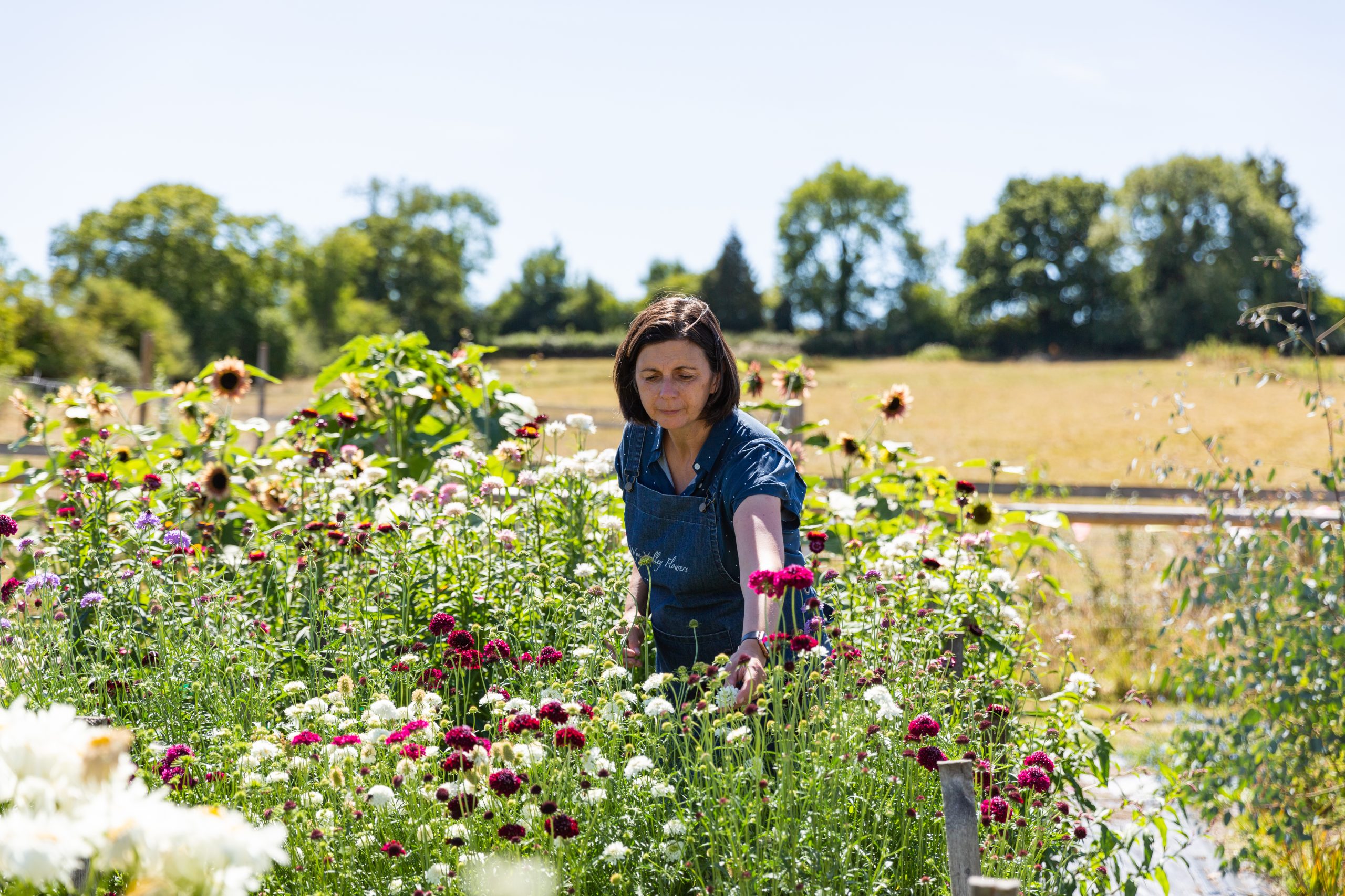 Jo Thompson_LucyShergold Photo