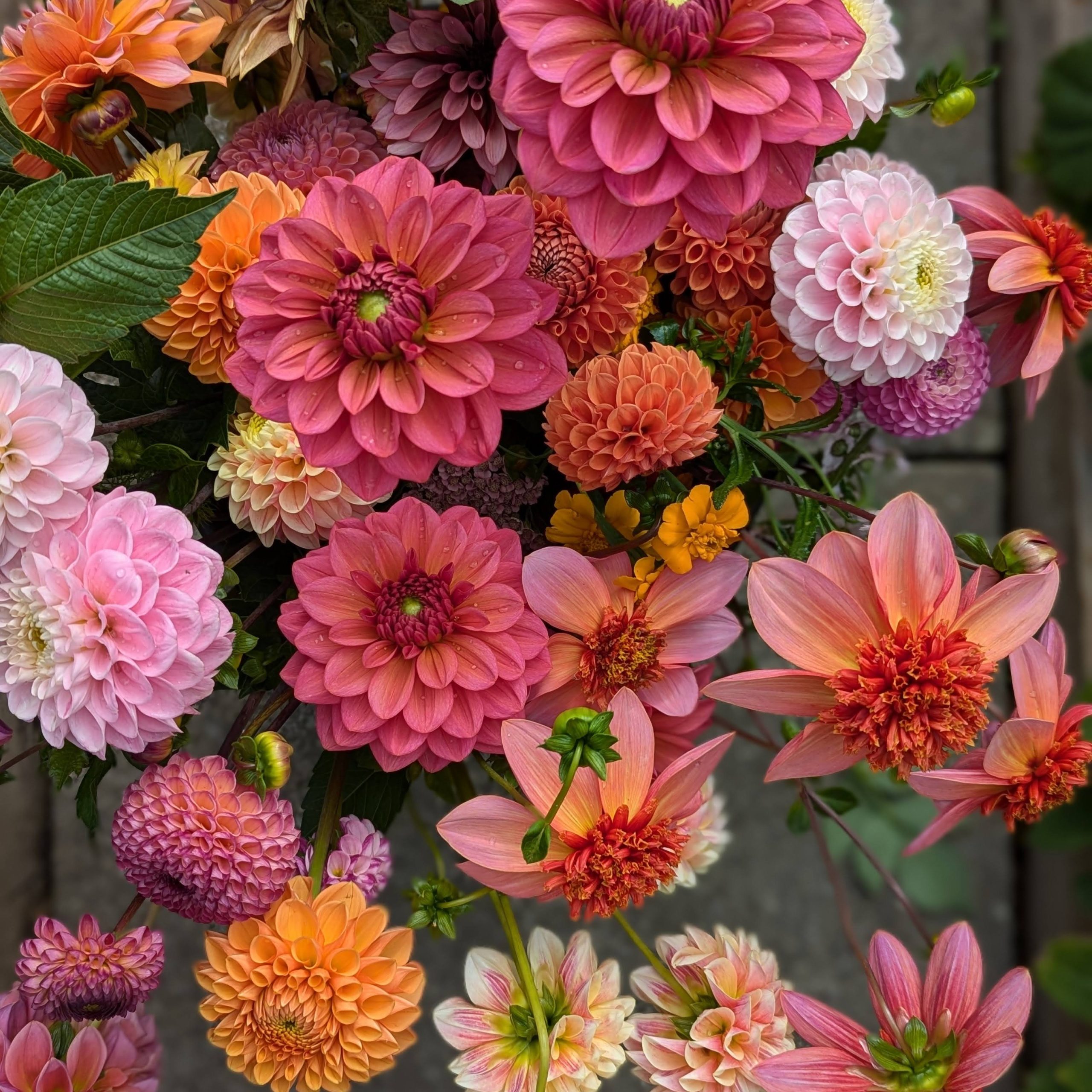 Autumn Floral Arrangement Workshop - Sarah Hinchliffe