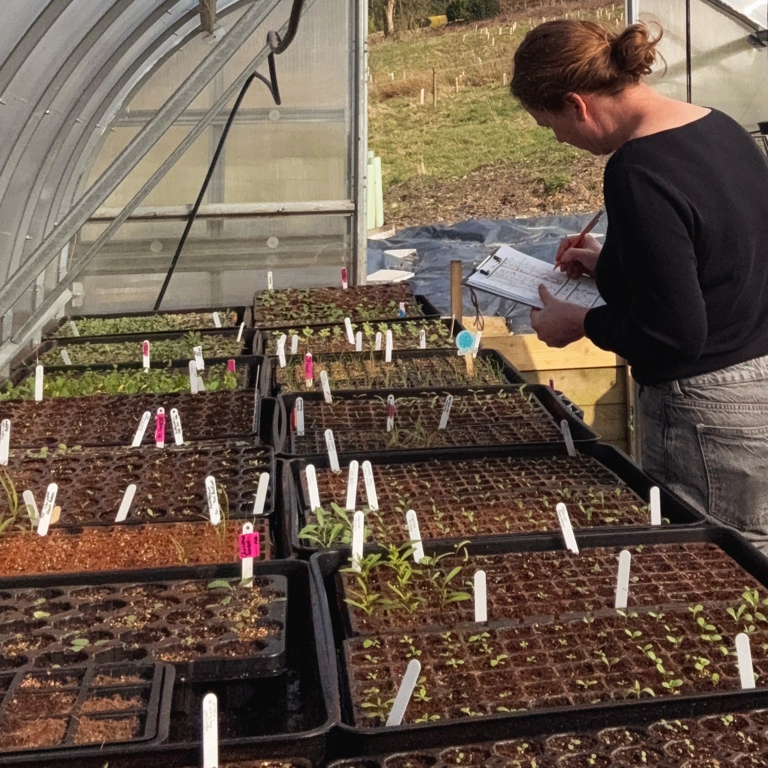 Planning-your-growing-for-flower-farmers-Sarah-Hinchliffe