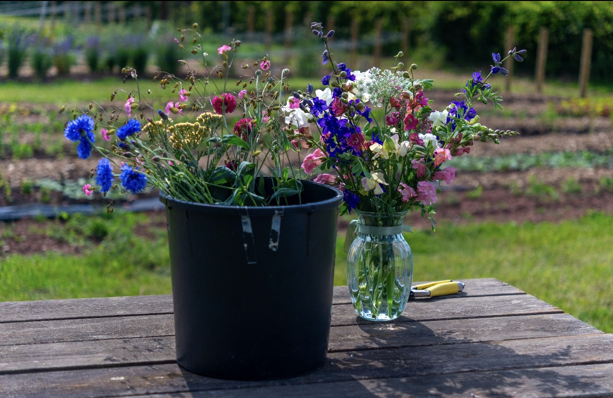 Brew and a bunch with Rozanne Delamore