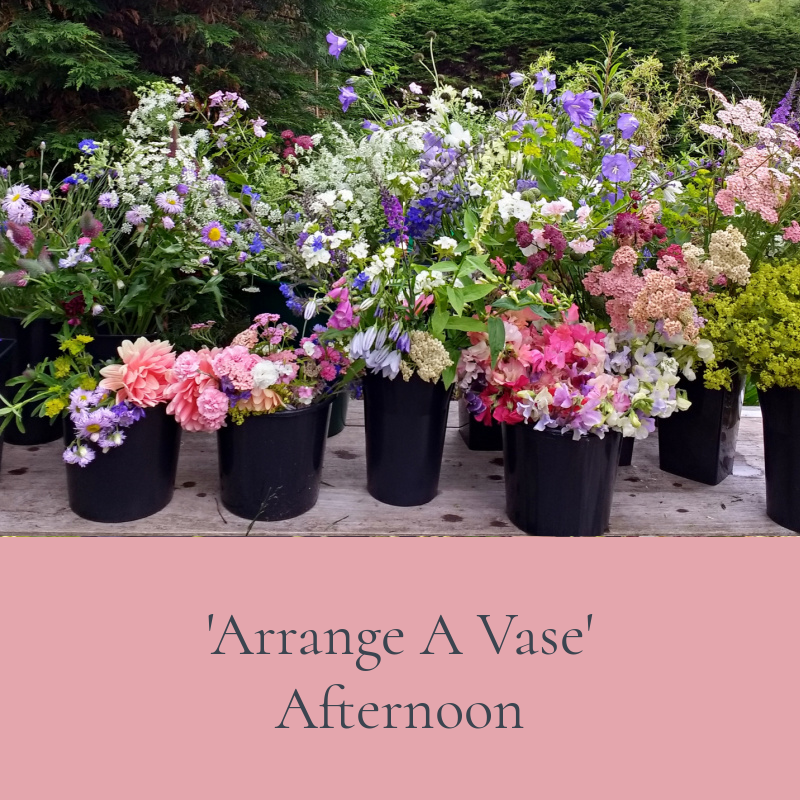 'Arrange A Vase' Afternoon with Gallowway Flowers