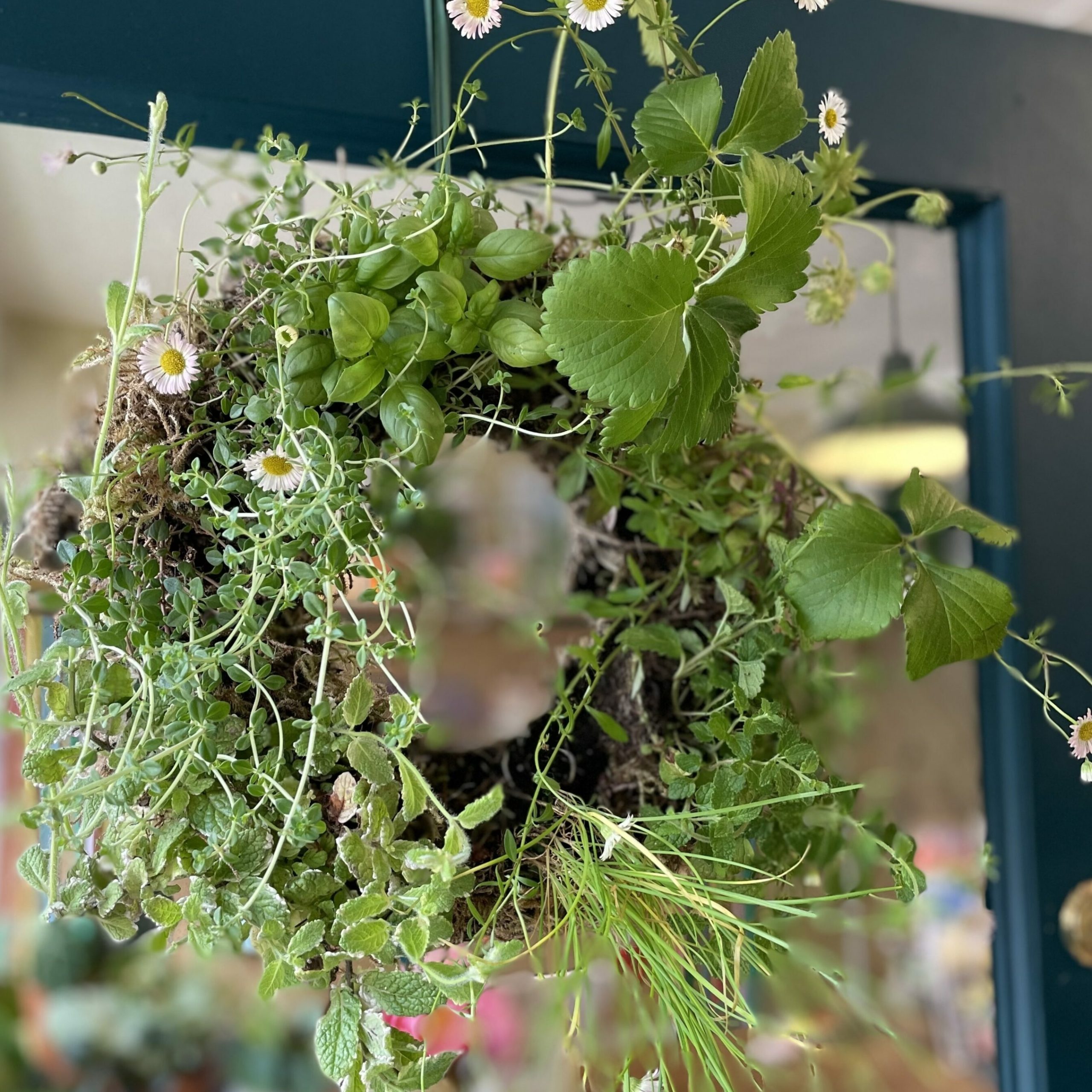 Edible Herb & Flower Summer Wreath with Lois Golding