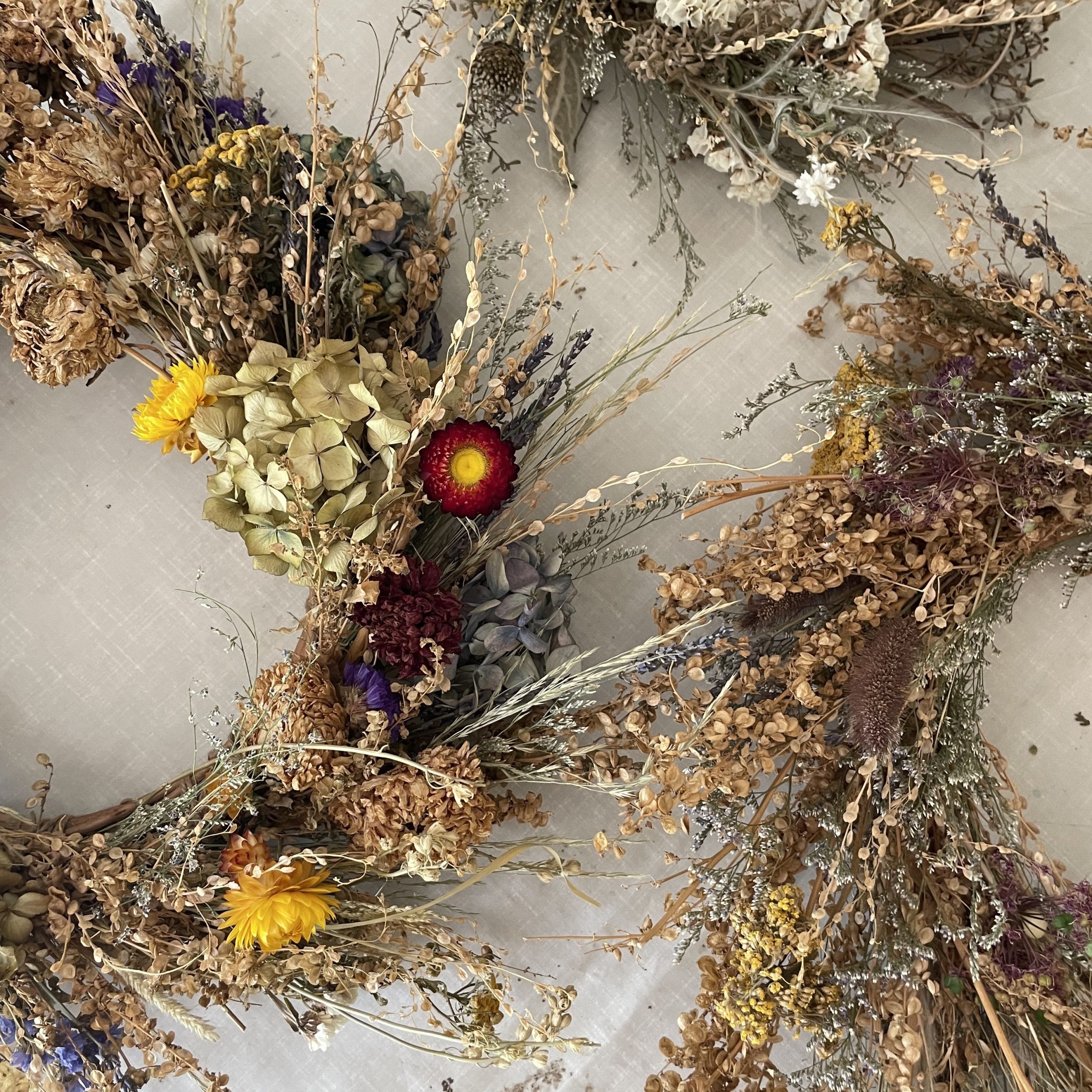 Dried Flower Wreath with Lois Golding